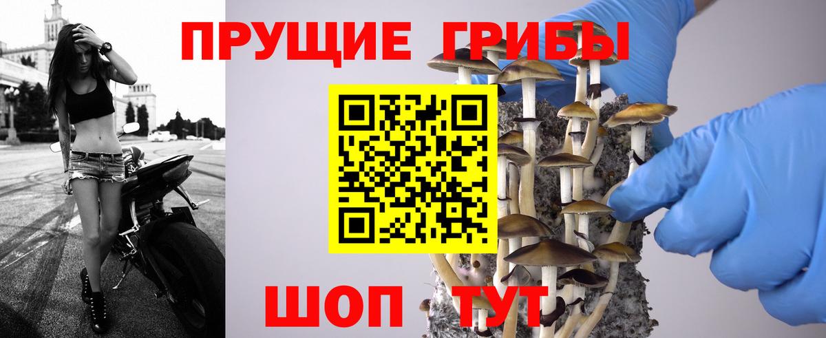 Волгоград  Псилоцибиновые грибы мухоморы  Вход с VPN 